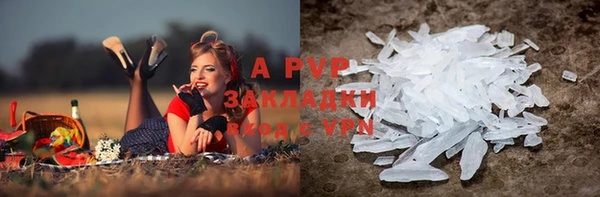 a pvp Болотное