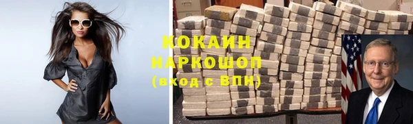 a pvp Болотное