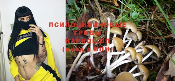 spice Болохово