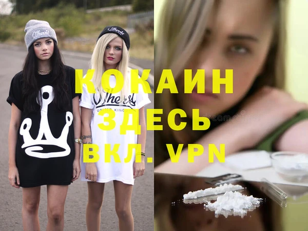 a pvp Болотное