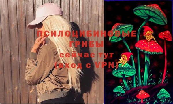 spice Болохово