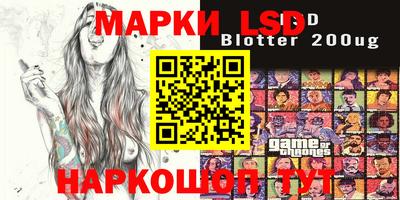 индика Жуковский