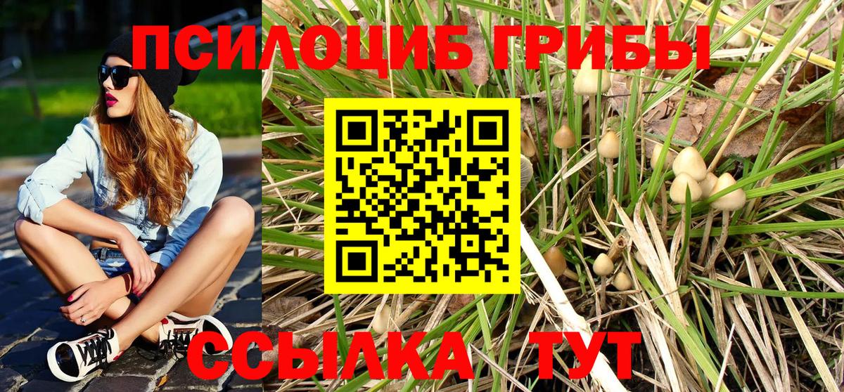 Псилоцибиновые грибы ЛСД  цены наркотик  Лыткарино 