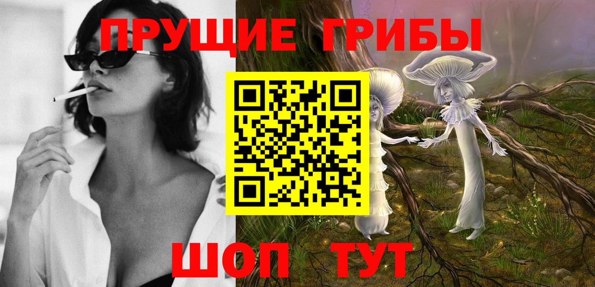 Псилоцибиновые грибы Psilocybe  Псилоцибиновые грибы ЛСД  Лыткарино  Вход с VPN 