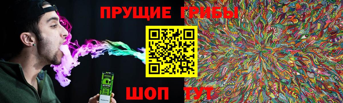 Псилоцибиновые грибы GOLDEN TEACHER Лыткарино