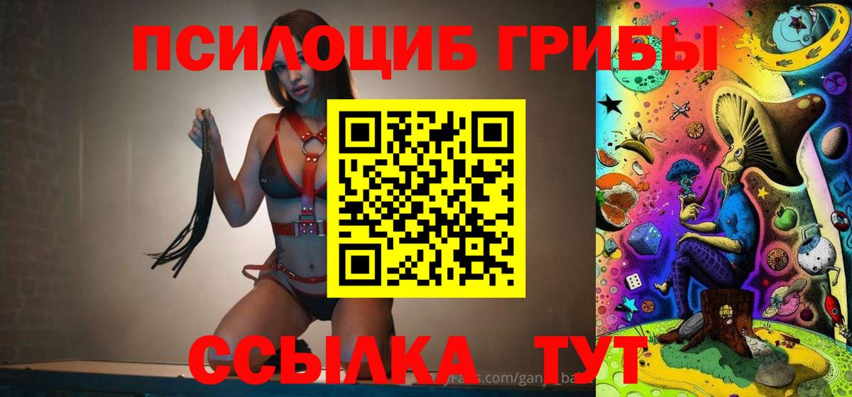 Галлюциногенные грибы Psilocybine cubensis Лыткарино